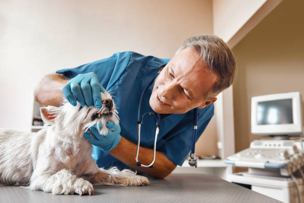 Best Weekend Emergency Dentist in Angier, NC